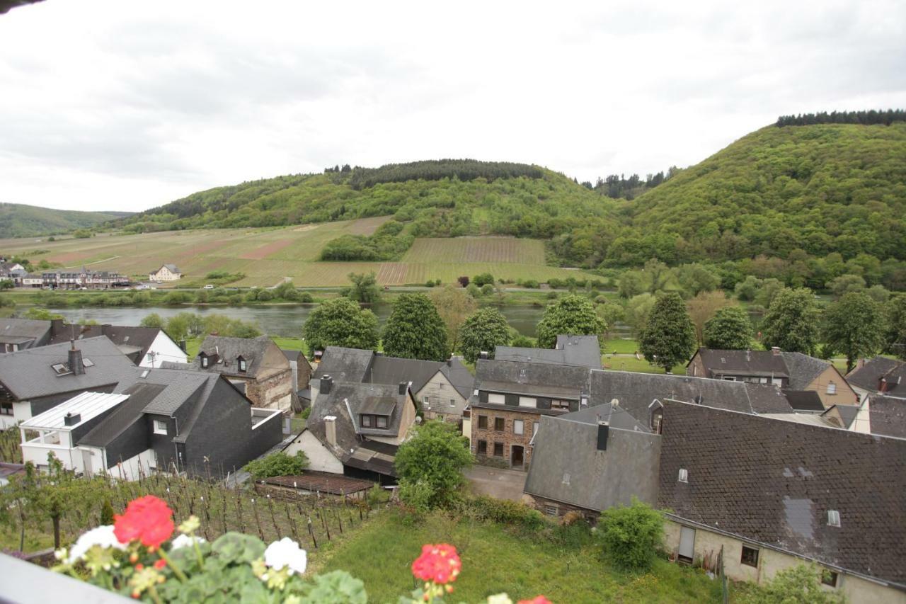Ferienwohnung Moselblick-Stein Valwig Exteriér fotografie