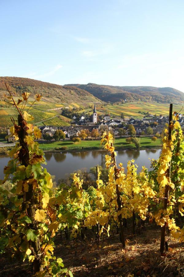 Ferienwohnung Moselblick-Stein Valwig Exteriér fotografie
